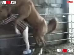 [Amateur Beastiality] He rapes the horse's anal region while violently attacking the farmer